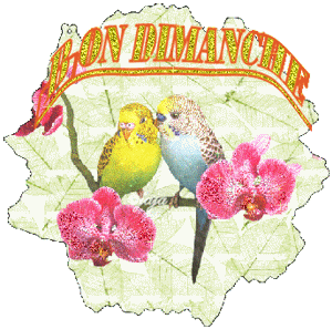 Gif animé Bon dimanche oiseaux